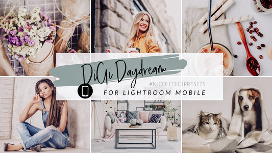 DiGi Daydream Bundle